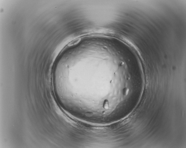 X0000057091483200509231637