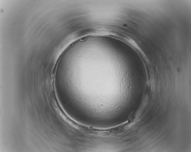 X0000057091484200509231637