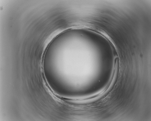 X0000057091485200509231637