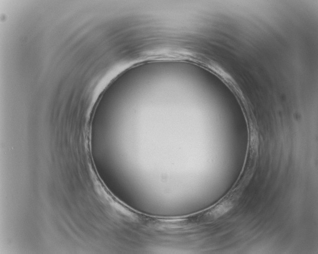 X0000057091486200509231637