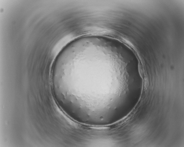 X0000057091487200509231637