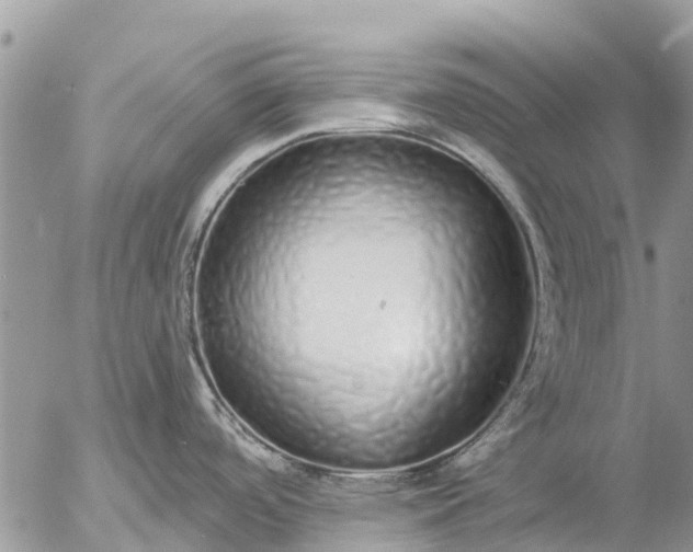 X0000057091488200509231637