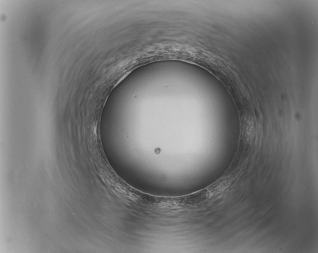 X0000057091489200509231636