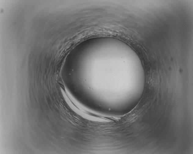 X0000057091490200509231636