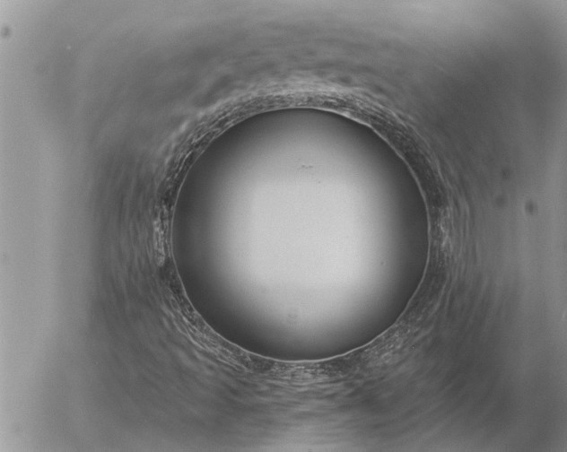 X0000057091493200509231636