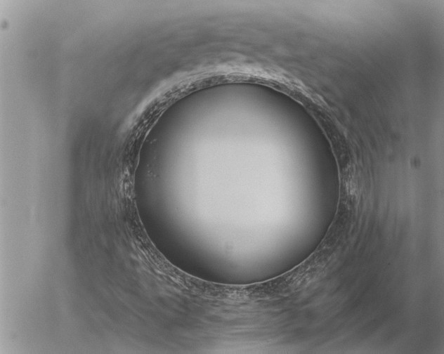 X0000057091495200509231636