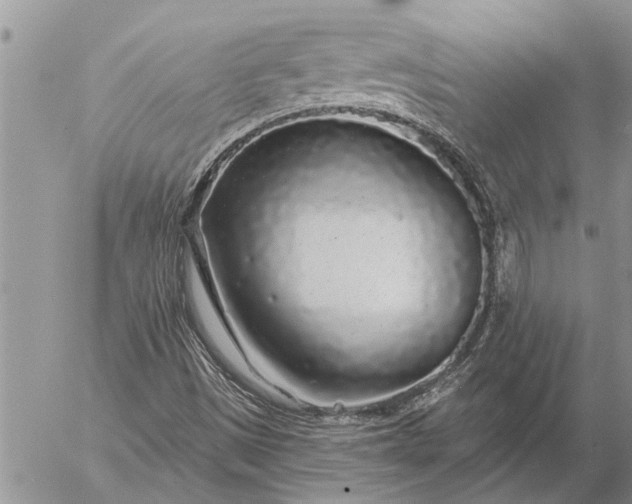 X0000057091497200509231636