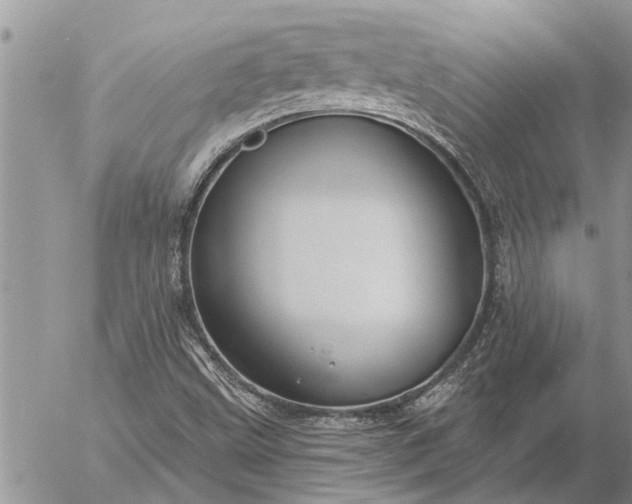 X0000057091499200509231636