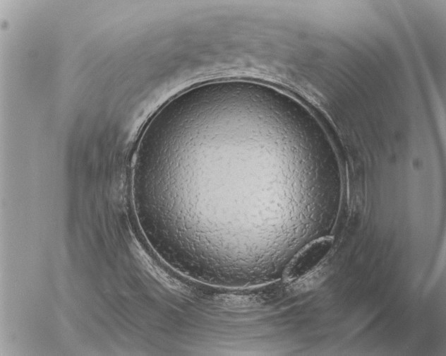 X0000057091500200509231636