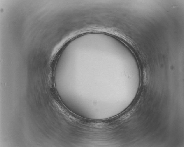 X0000057091502200509231636