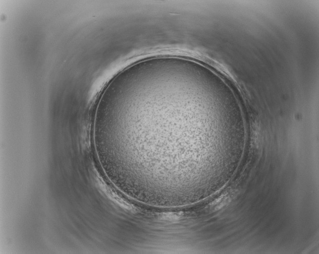 X0000057091504200509231636