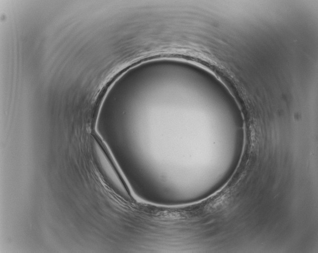 X0000057091505200509231636