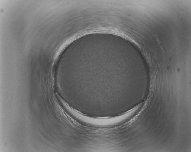 X0000057091506200509231636