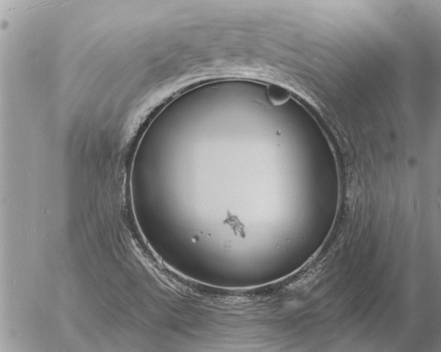 X0000057091507200509231636