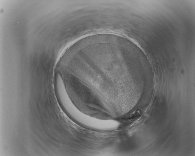 X0000057091508200509231636