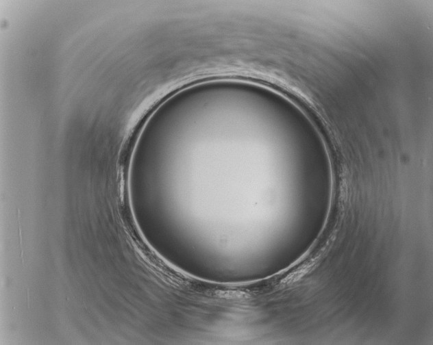 X0000057091509200509231636