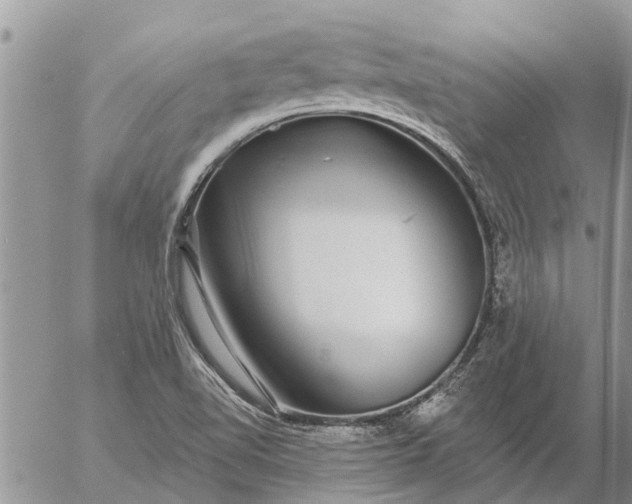 X0000057091510200509231636