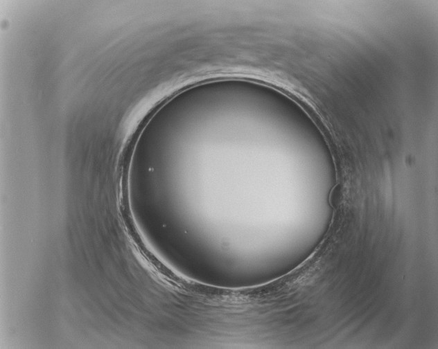 X0000057091511200509231636