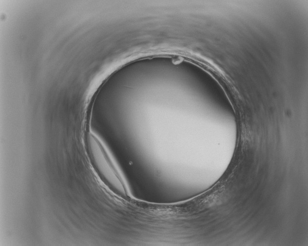 X0000057091512200509231636