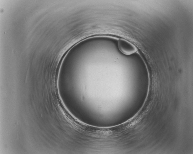 X0000057091513200509231636