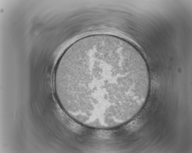 X0000057091514200509231636