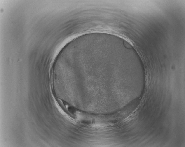 X0000057091515200509231636