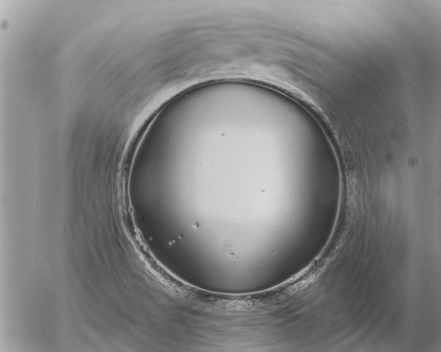 X0000057091517200509231636