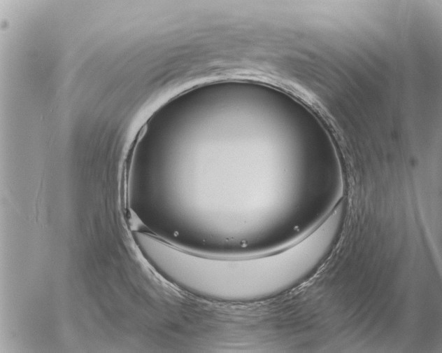 X0000057091520200509231636