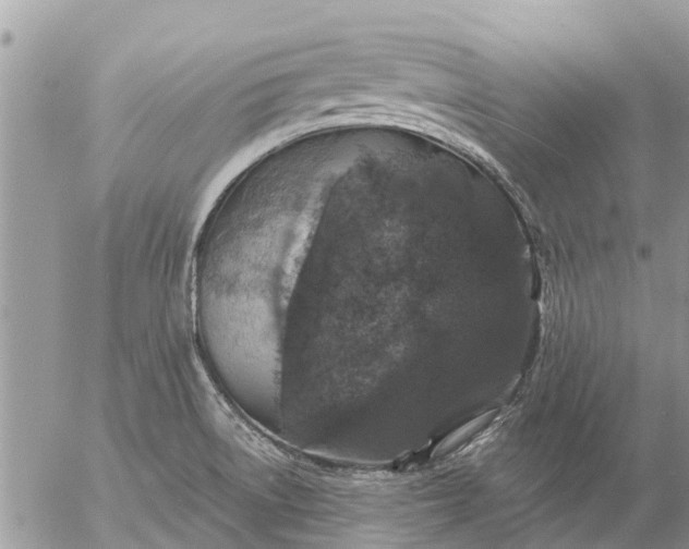 X0000057091522200509231636