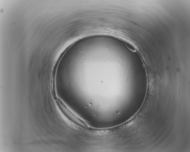 X0000057091523200509231636