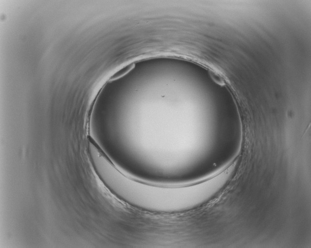 X0000057091524200509231636