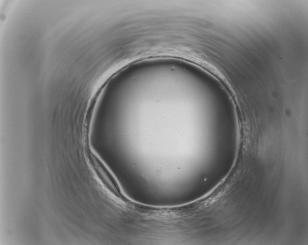 X0000057091525200509231636