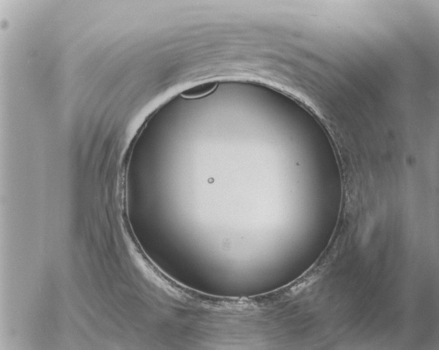 X0000057091526200509231636