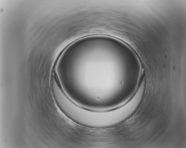 X0000057091527200509231636