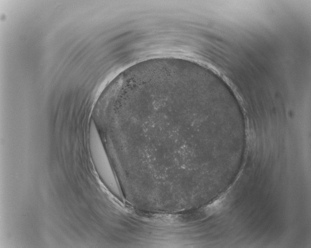 X0000057091529200509231637