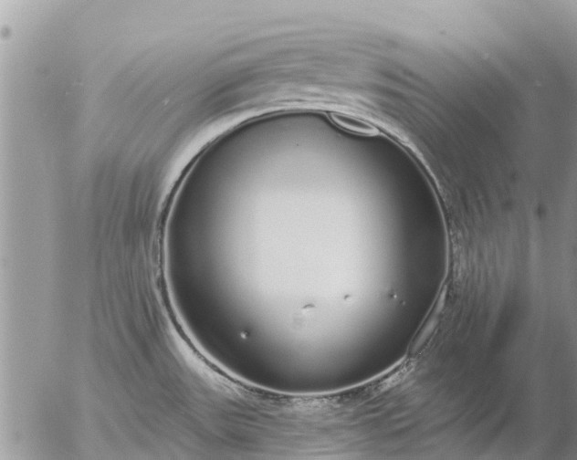 X0000057091531200509231637