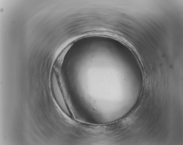 X0000057091533200509231637