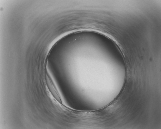 X0000057091534200509231637