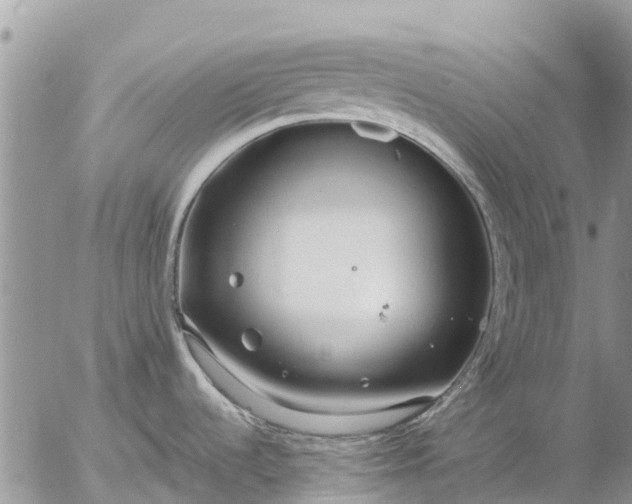 X0000057091536200509231637