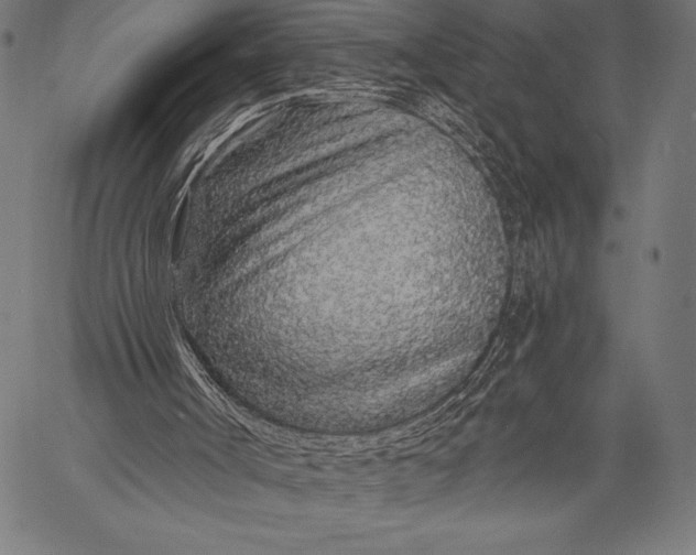 X0000057090002200509301603