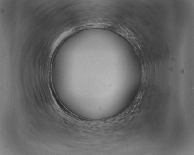 X0000057090003200509301603