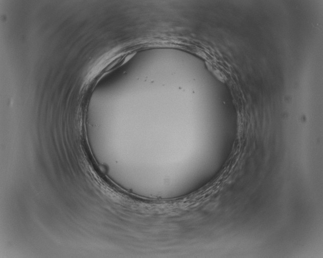 X0000057090005200509301603