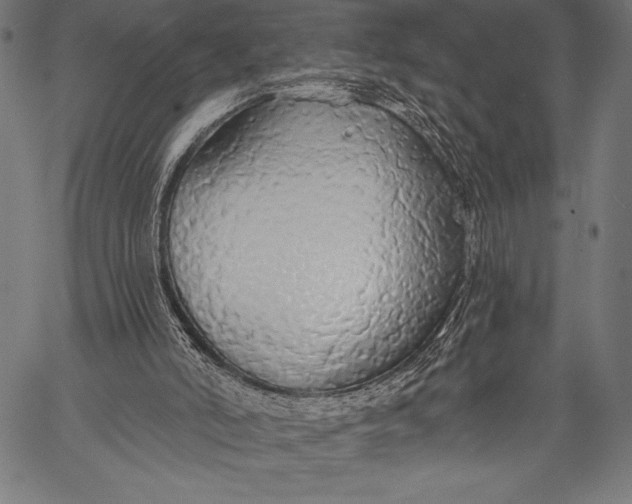 X0000057090006200509301603