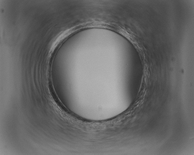 X0000057090007200509301603