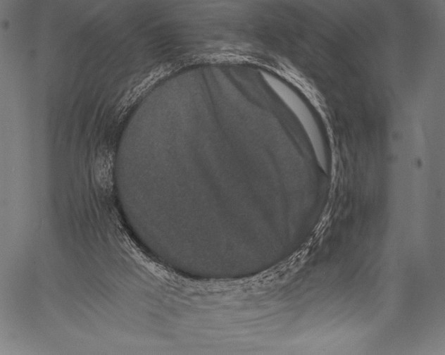 X0000057090009200509301603