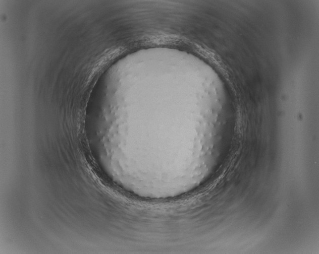 X0000057090010200509301603