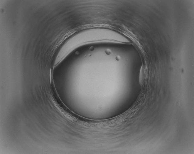 X0000057090013200509301603