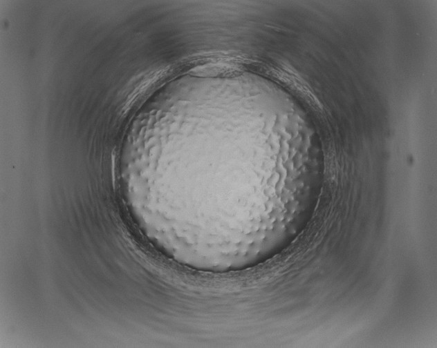 X0000057090014200509301603