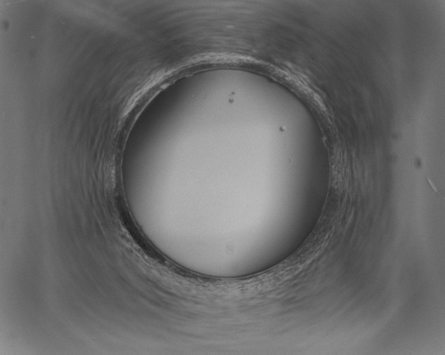 X0000057090015200509301603