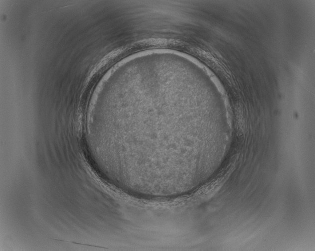 X0000057090016200509301603